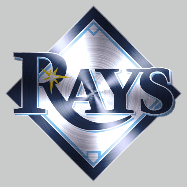 Tampa Bay Rays Stainless steel logo iron on paper